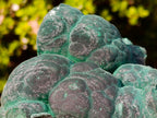 Natural Botryoidal Malachite Specimens x 2 From Congo - Toprock Gemstones and Minerals 