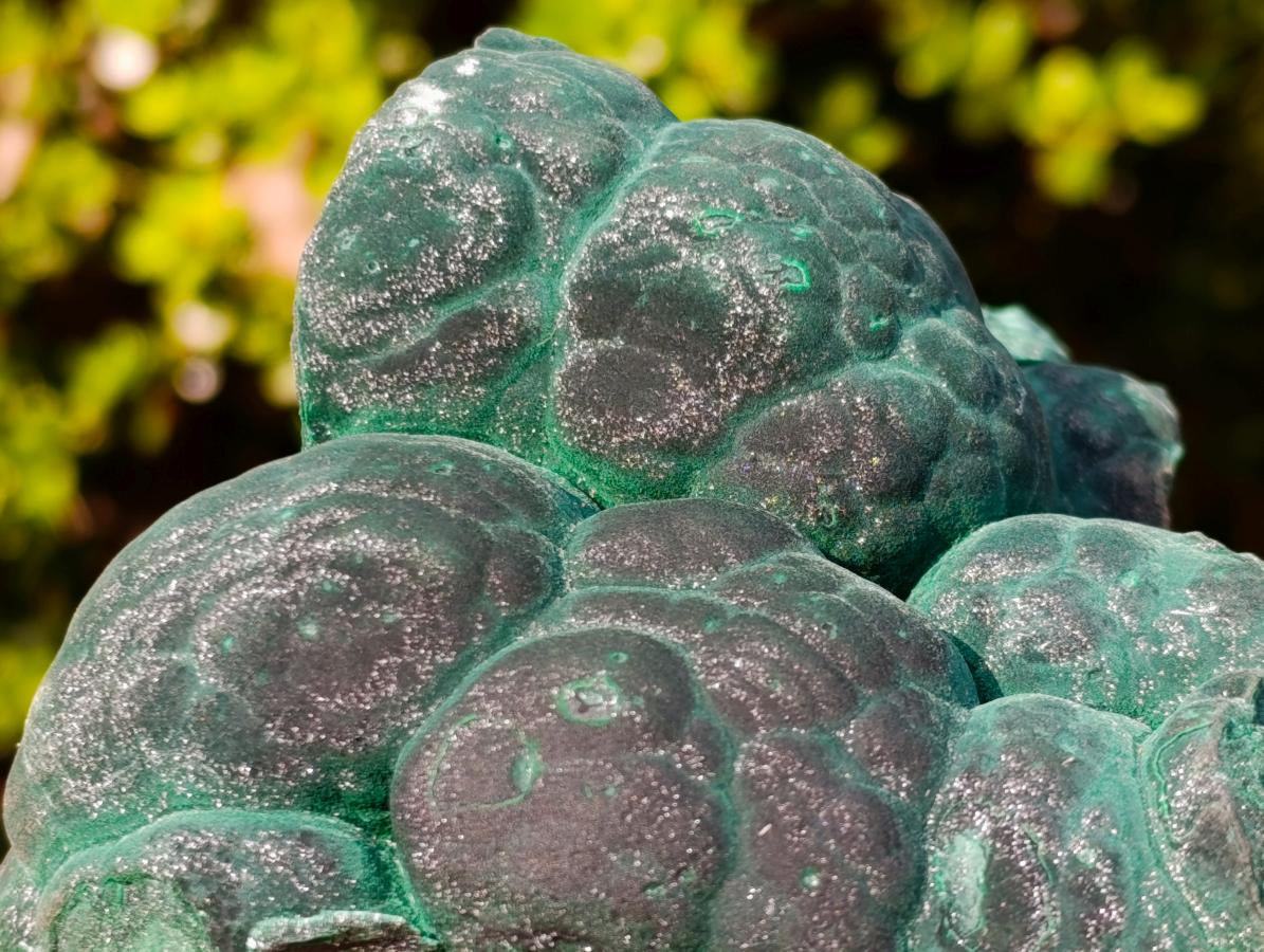 Natural Botryoidal Malachite Specimens x 2 From Congo - Toprock Gemstones and Minerals 