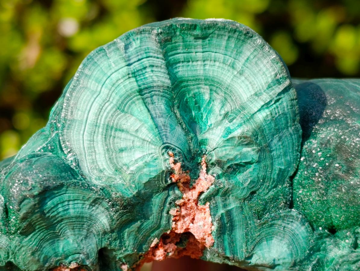 Natural Botryoidal Malachite Specimens x 2 From Congo - Toprock Gemstones and Minerals 