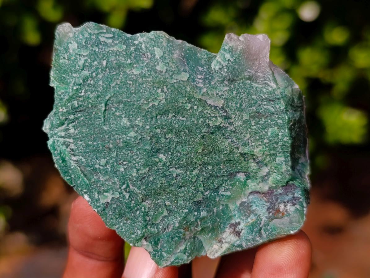 Natural Swazi Jade Cobbed Specimens x 24 From Swaziland - Toprock Gemstones and Minerals 