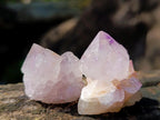 Natural Small Sunburst Spirit Amethyst Single Crystals x 70 From Boekenhouthoek, South Africa - Toprock Gemstones and Minerals 