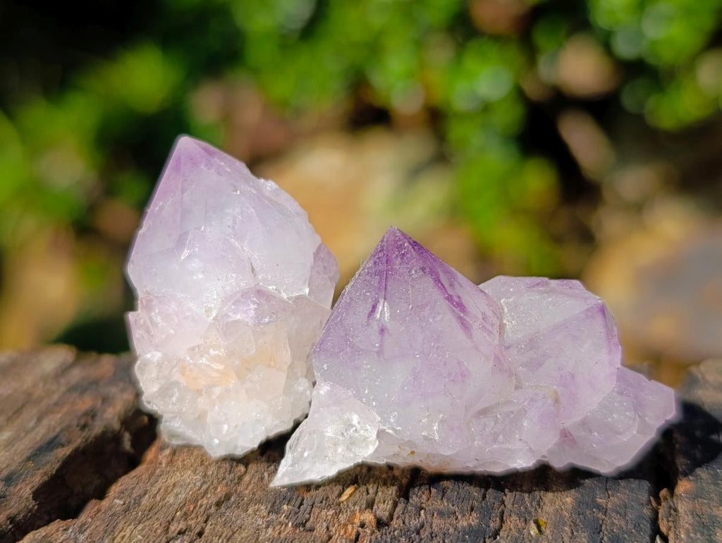 Natural Small Sunburst Spirit Amethyst Single Crystals x 70 From Boekenhouthoek, South Africa - Toprock Gemstones and Minerals 