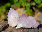 Natural Small Sunburst Spirit Amethyst Single Crystals x 70 From Boekenhouthoek, South Africa - Toprock Gemstones and Minerals 