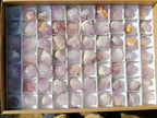 Natural Small Sunburst Spirit Amethyst Single Crystals x 70 From Boekenhouthoek, South Africa - Toprock Gemstones and Minerals 