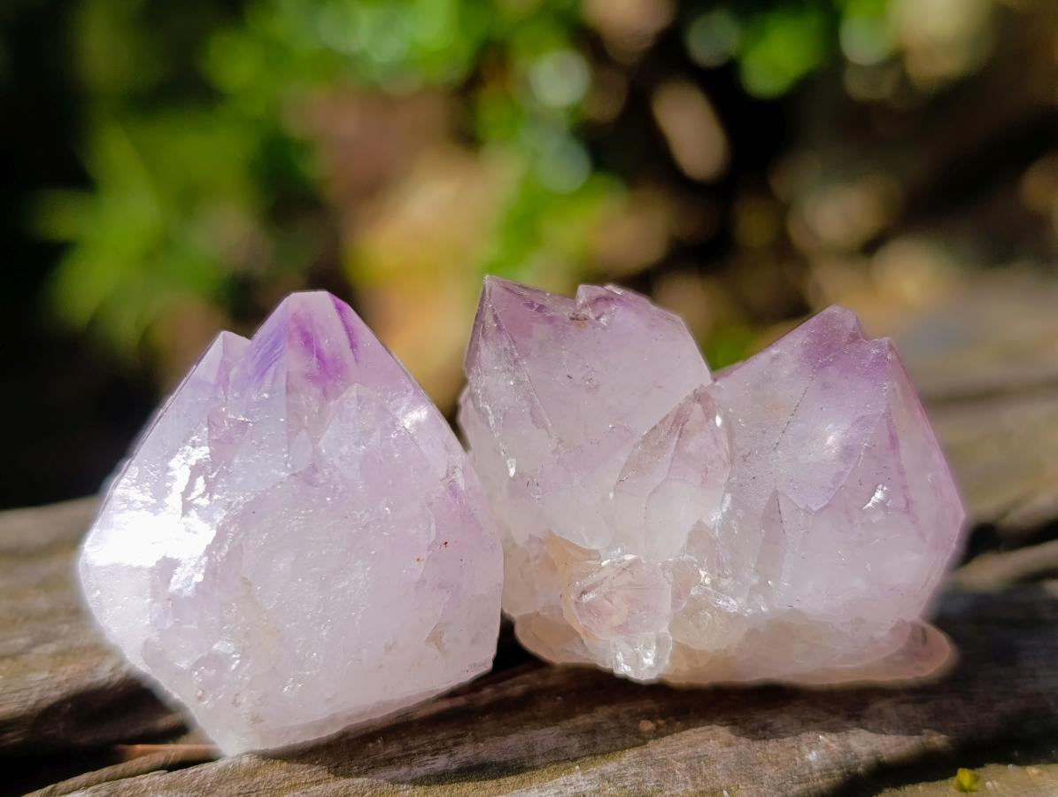 Natural Small Sunburst Spirit Amethyst Single Crystals x 70 From Boekenhouthoek, South Africa - Toprock Gemstones and Minerals 