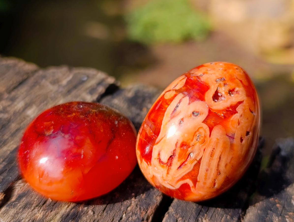 Polished Carnelian Agate Gemstone Galets x 29 From Madagascar - Toprock Gemstones and Minerals 