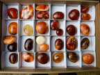 Polished Carnelian Agate Gemstone Galets x 29 From Madagascar - Toprock Gemstones and Minerals 