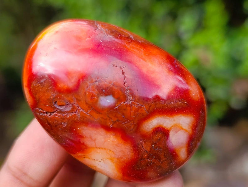 Polished Carnelian Agate Gemstone Galets x 29 From Madagascar - Toprock Gemstones and Minerals 