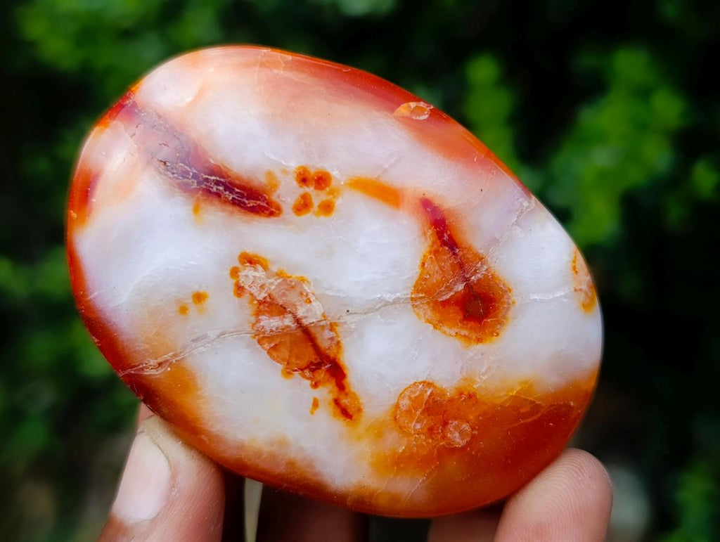 Polished Carnelian Agate Gemstone Galets x 29 From Madagascar - Toprock Gemstones and Minerals 