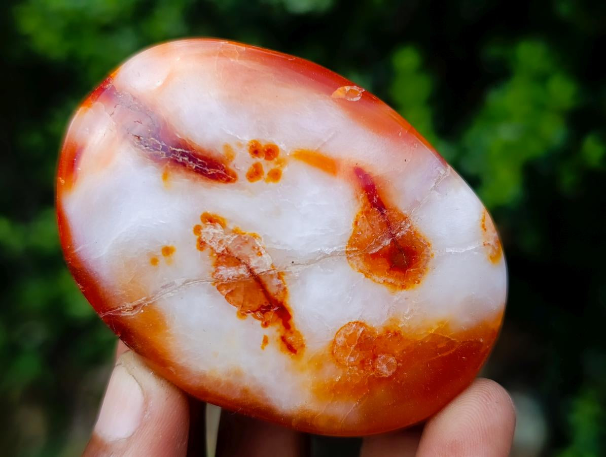 Polished Carnelian Agate Gemstone Galets x 29 From Madagascar - Toprock Gemstones and Minerals 
