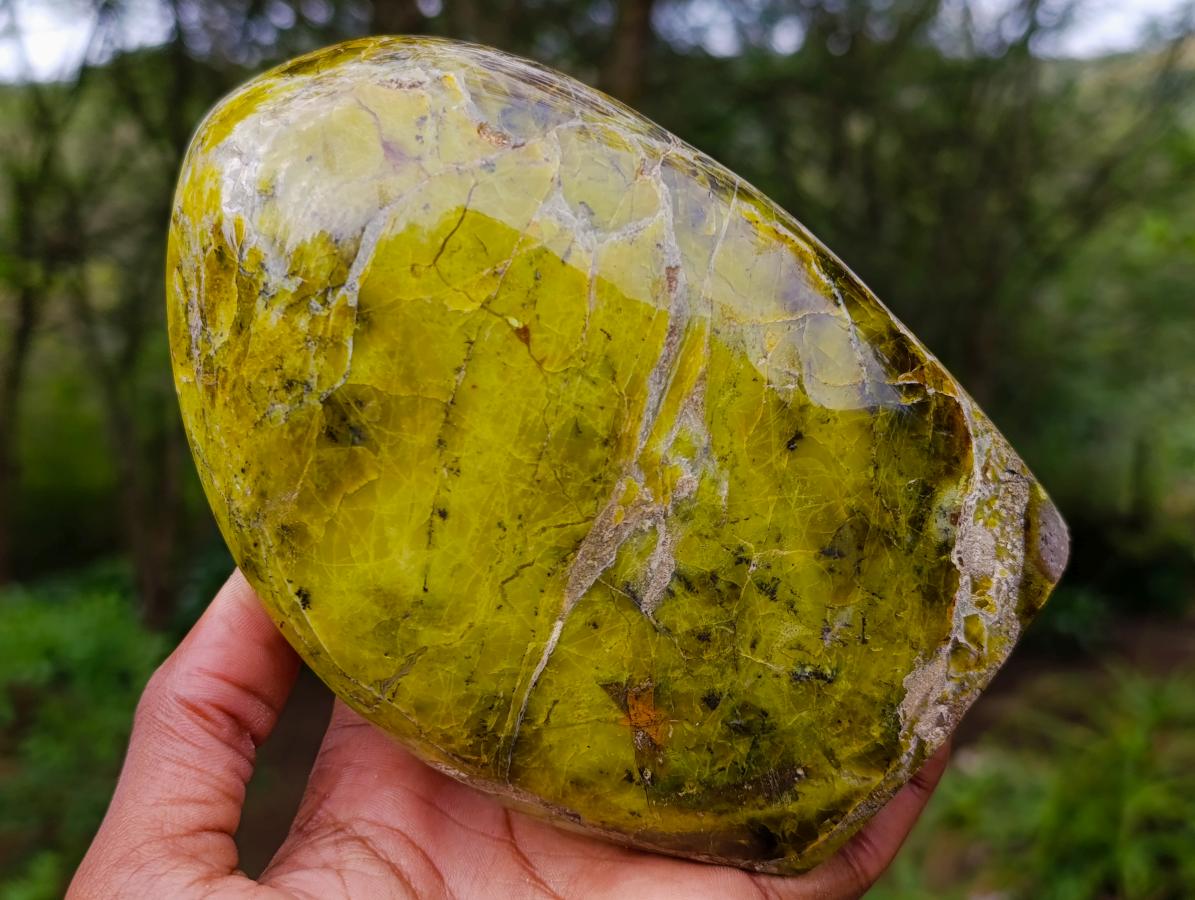 Polished Green Opal Standing Free Form x 1 From Betroka, Madagascar - Toprock Gemstones and Minerals 