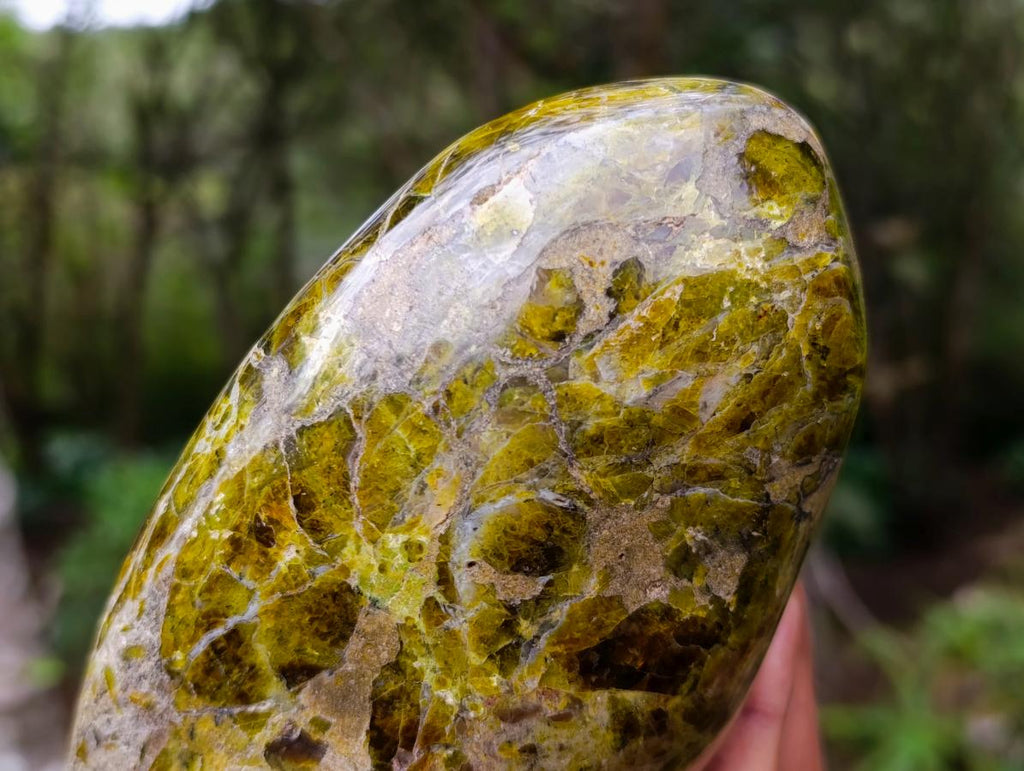 Polished Green Opal Standing Free Form x 1 From Betroka, Madagascar - Toprock Gemstones and Minerals 