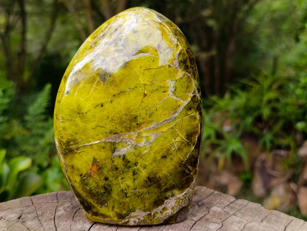 Polished Green Opal Standing Free Form x 1 From Betroka, Madagascar - Toprock Gemstones and Minerals 