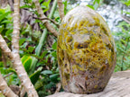 Polished Green Opal Standing Free Form x 1 From Betroka, Madagascar - Toprock Gemstones and Minerals 