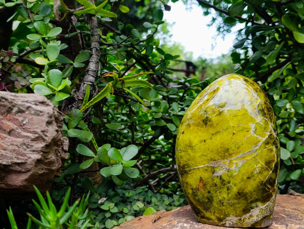 Polished Green Opal Standing Free Form x 1 From Betroka, Madagascar - Toprock Gemstones and Minerals 