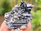 Natural Schorl Black Tourmaline Specimens with Feldspar and Mica x 12 From Erongo, Namibia - Toprock Gemstones and Minerals 