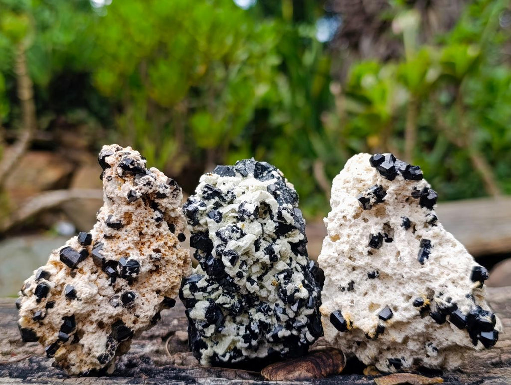 Natural Schorl Black Tourmaline Specimens with Feldspar and Mica x 12 From Erongo, Namibia - Toprock Gemstones and Minerals 