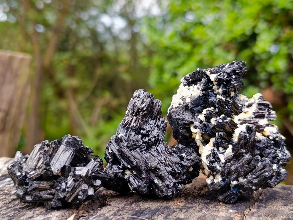 Natural Schorl Black Tourmaline Specimens with Feldspar and Mica x 12 From Erongo, Namibia - Toprock Gemstones and Minerals 