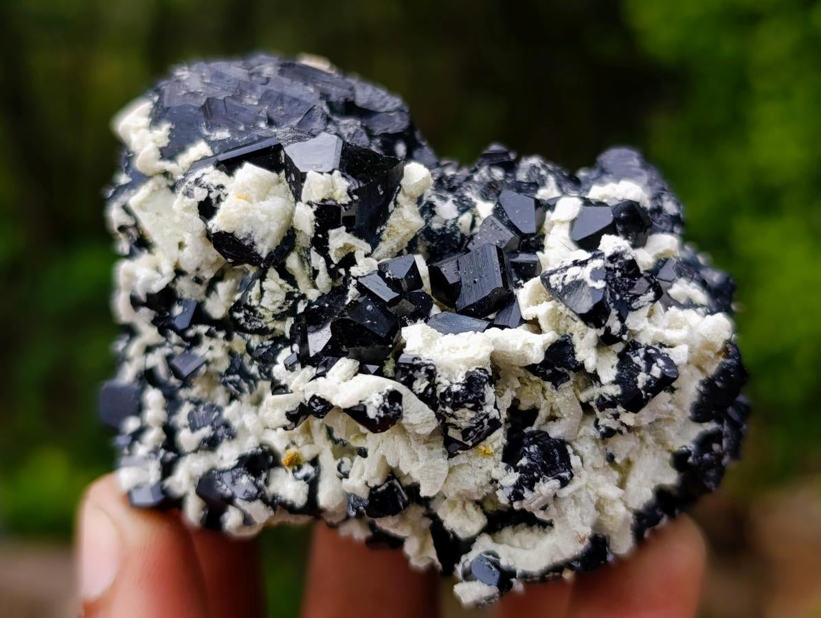 Natural Schorl Black Tourmaline Specimens with Feldspar and Mica x 12 From Erongo, Namibia - Toprock Gemstones and Minerals 