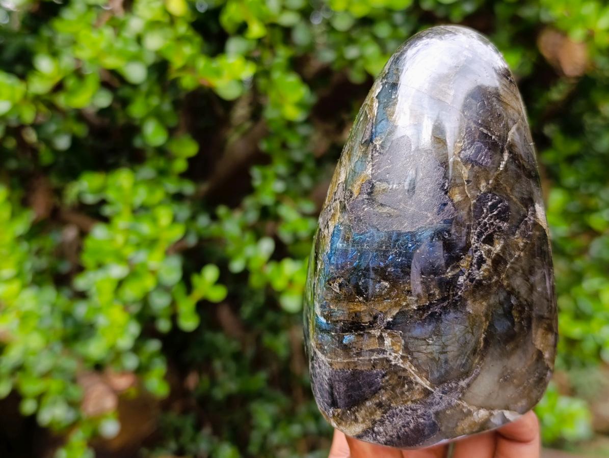 Polished Labradorite Standing Display Pieces x 2 From Madagascar - Toprock Gemstones and Minerals 
