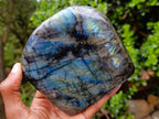 Polished Labradorite Standing Display Pieces x 2 From Madagascar - Toprock Gemstones and Minerals 