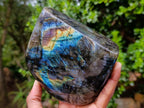 Polished Labradorite Standing Display Pieces x 2 From Madagascar - Toprock Gemstones and Minerals 