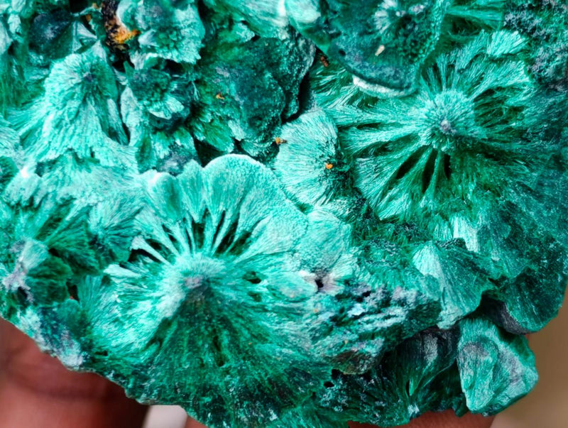 Natural Silky Malachite Specimens x 6 From Kasompe, Congo - Toprock Gemstones and Minerals 