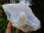 Natural Blue Lace Agate Geode Specimens x 6 From Nsanje, Malawi - Toprock Gemstones and Minerals 