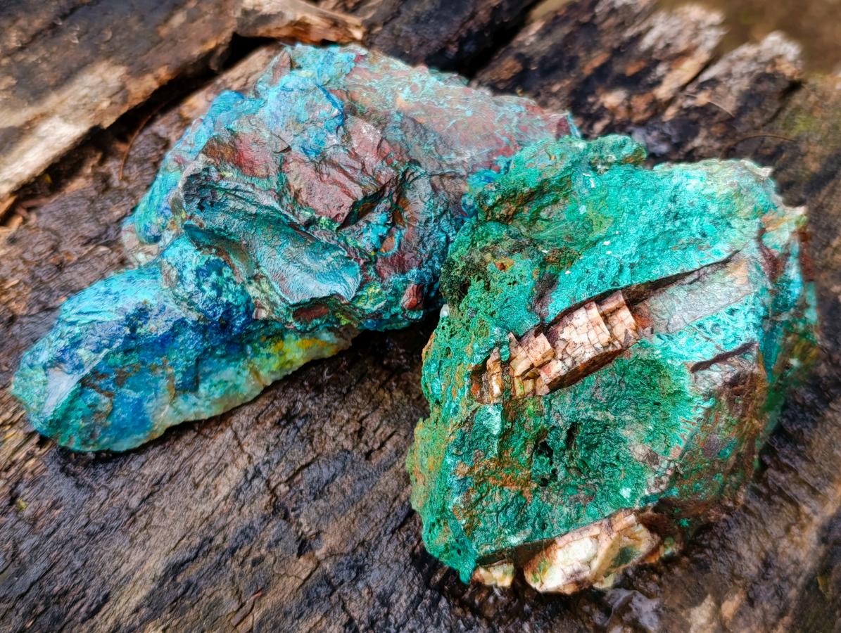 Natural Cobbed Shattuckite with Associated Minerals x 12 From Koakoveld, Namibia - Toprock Gemstones and Minerals 