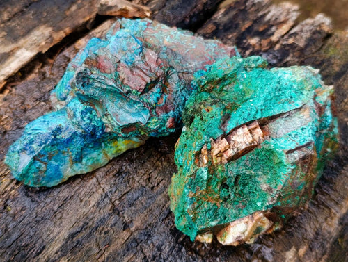 Natural Cobbed Shattuckite with Associated Minerals x 12 From Koakoveld, Namibia - Toprock Gemstones and Minerals 