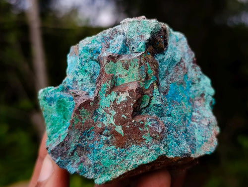 Natural Cobbed Shattuckite with Associated Minerals x 12 From Koakoveld, Namibia - Toprock Gemstones and Minerals 
