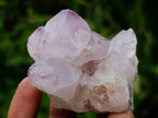 Natural Sunburst Spirit Amethyst Clusters x 12 From Boekenhouthoek, South Africa - Toprock Gemstones and Minerals 