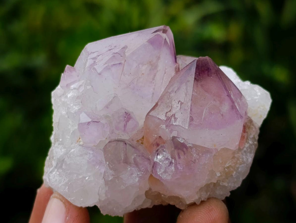 Natural Sunburst Spirit Amethyst Clusters x 12 From Boekenhouthoek, South Africa - Toprock Gemstones and Minerals 