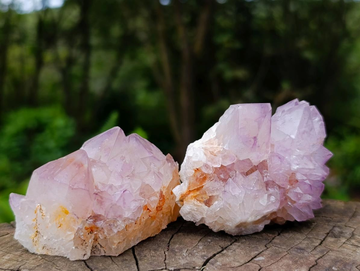 Natural Sunburst Spirit Amethyst Clusters x 12 From Boekenhouthoek, South Africa - Toprock Gemstones and Minerals 