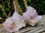 Natural Sunburst Spirit Amethyst Clusters x 12 From Boekenhouthoek, South Africa - Toprock Gemstones and Minerals 