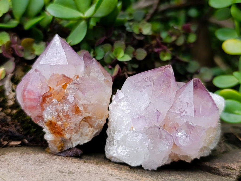 Natural Sunburst Spirit Amethyst Clusters x 12 From Boekenhouthoek, South Africa - Toprock Gemstones and Minerals 