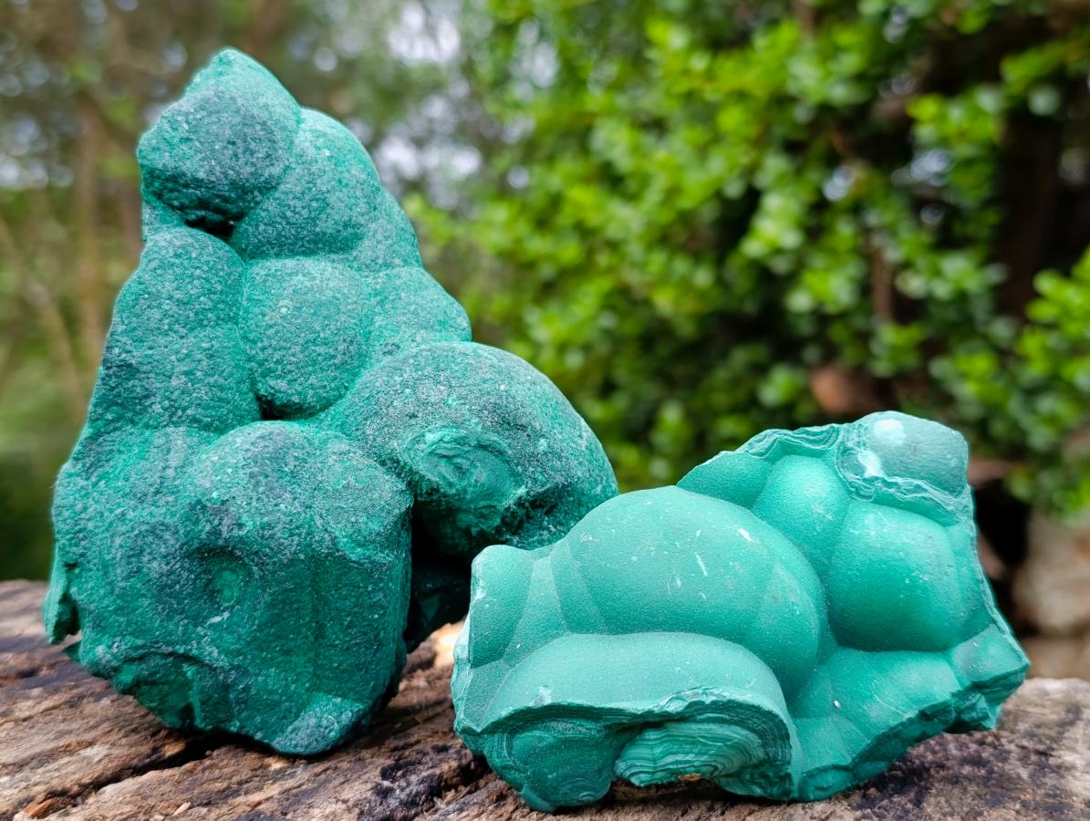 Natural Botryoidal Malachite Specimens x 3 From Congo - Toprock Gemstones and Minerals 