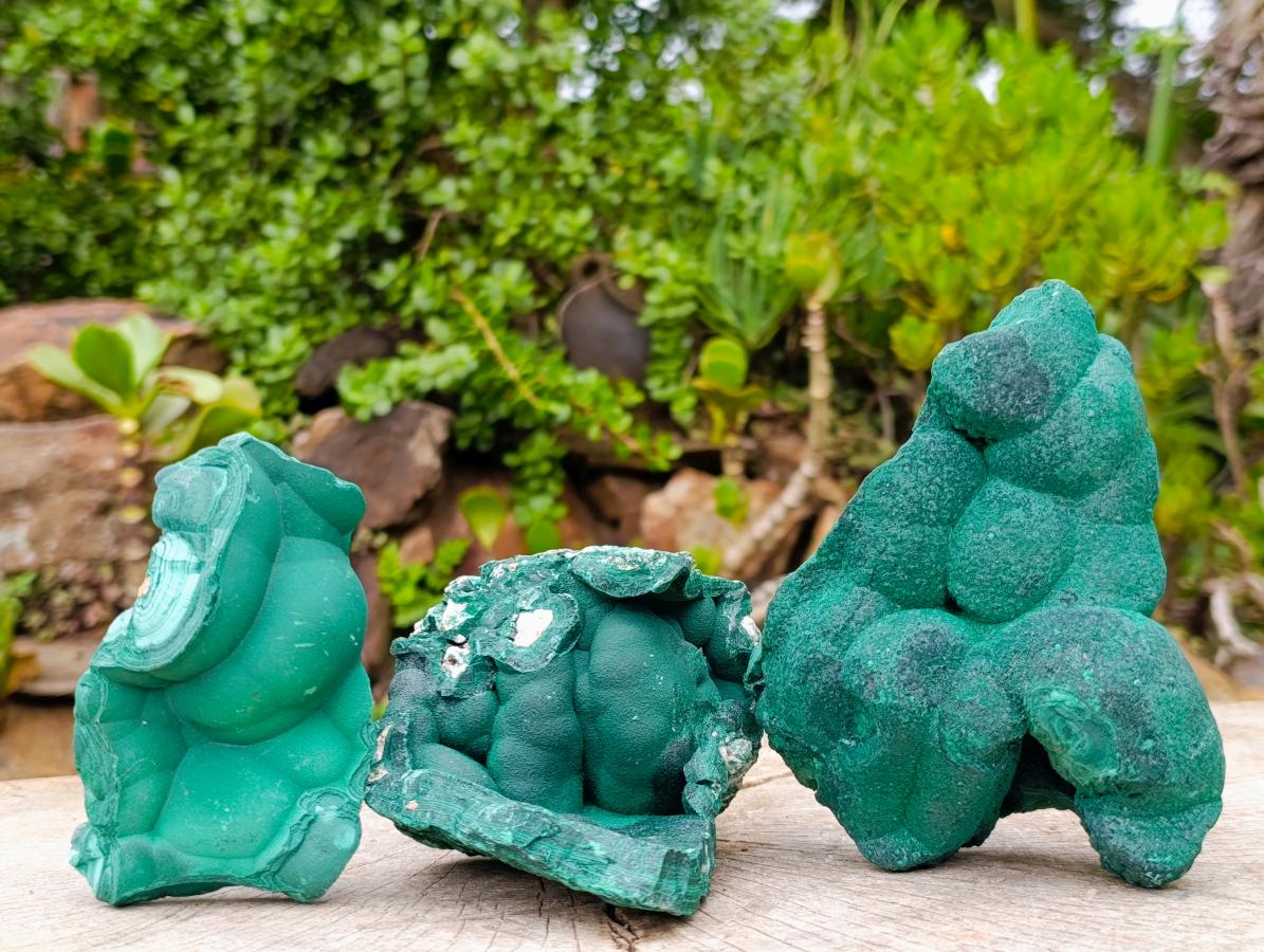Natural Botryoidal Malachite Specimens x 3 From Congo - Toprock Gemstones and Minerals 