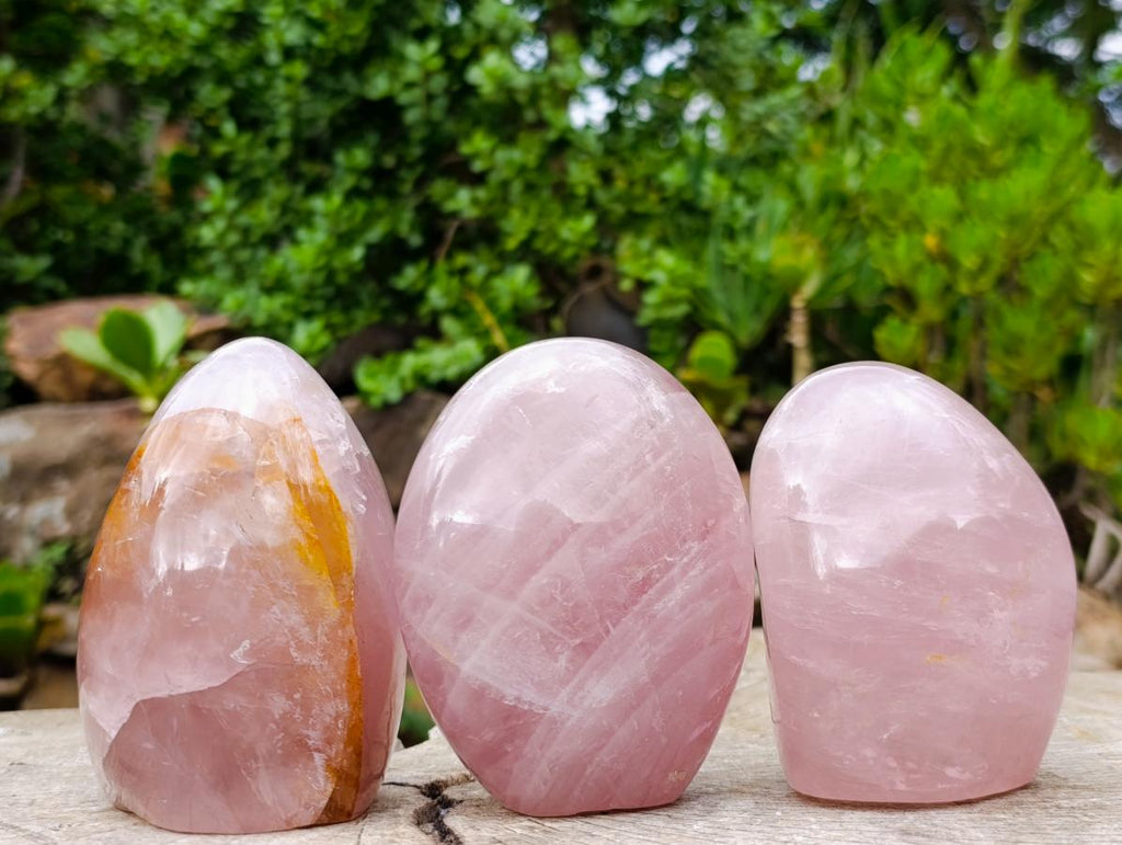 Polished Gemmy Rose Quartz Standing Display Pieces x 3 From Madagascar - Toprock Gemstones and Minerals 