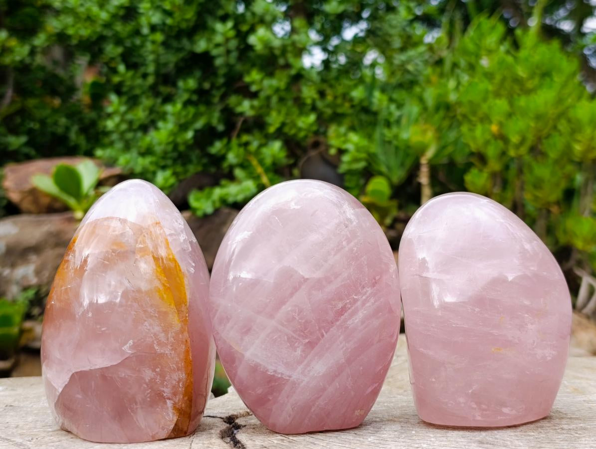 Polished Gemmy Rose Quartz Standing Display Pieces x 3 From Madagascar - Toprock Gemstones and Minerals 