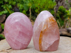 Polished Gemmy Rose Quartz Standing Display Pieces x 3 From Madagascar - Toprock Gemstones and Minerals 