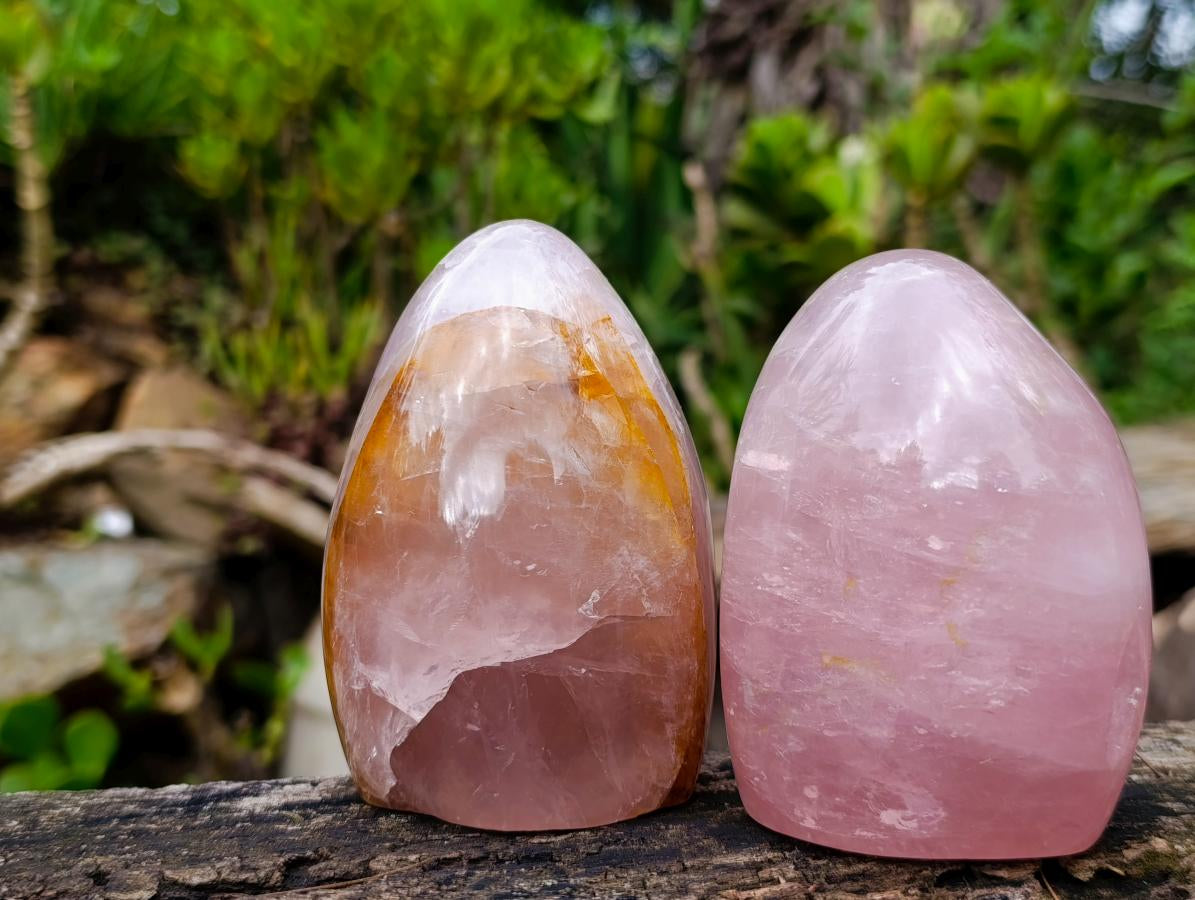 Polished Gemmy Rose Quartz Standing Display Pieces x 3 From Madagascar - Toprock Gemstones and Minerals 