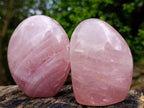 Polished Gemmy Rose Quartz Standing Display Pieces x 3 From Madagascar - Toprock Gemstones and Minerals 