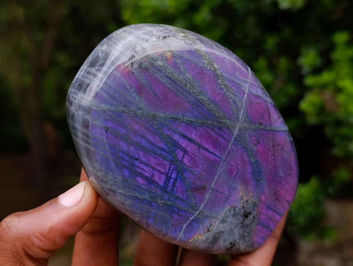 Polished Rare Purple Sunset Flash Labradorite Standing Display Pieces x 6 From Madagascar - Toprock Gemstones and Minerals 