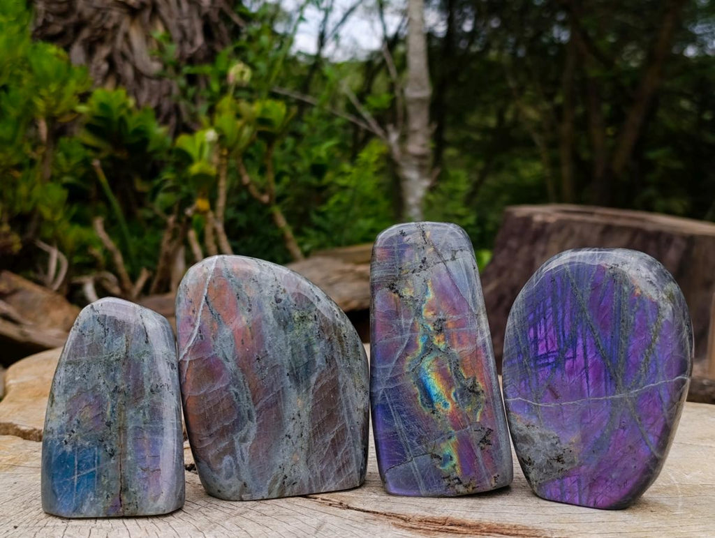 Polished Rare Purple Sunset Flash Labradorite Standing Display Pieces x 6 From Madagascar - Toprock Gemstones and Minerals 