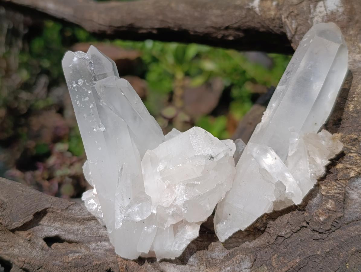 Natural Clear Malagasy Quartz Clusters x 12 From Madagascar - Toprock Gemstones and Minerals 
