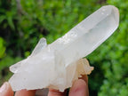 Natural Clear Malagasy Quartz Clusters x 12 From Madagascar - Toprock Gemstones and Minerals 