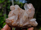 Natural Clear Malagasy Quartz Clusters x 12 From Madagascar - Toprock Gemstones and Minerals 