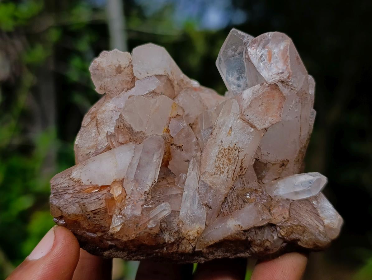 Natural Clear Malagasy Quartz Clusters x 12 From Madagascar - Toprock Gemstones and Minerals 