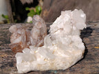 Natural Clear Malagasy Quartz Clusters x 12 From Madagascar - Toprock Gemstones and Minerals 